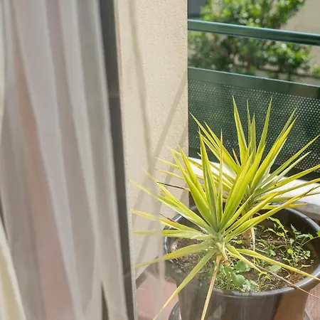 Relaxing Time Near The River *