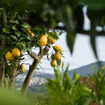 Relaxing Time Near The River