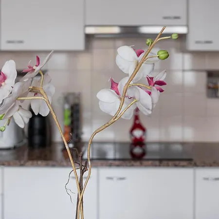 Relaxing Time Near The River * Penafiel