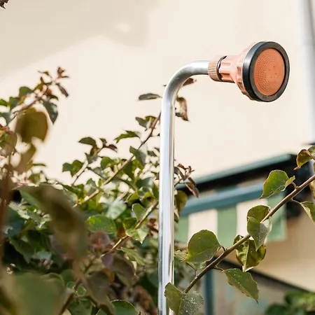 Relaxing Time Near The River