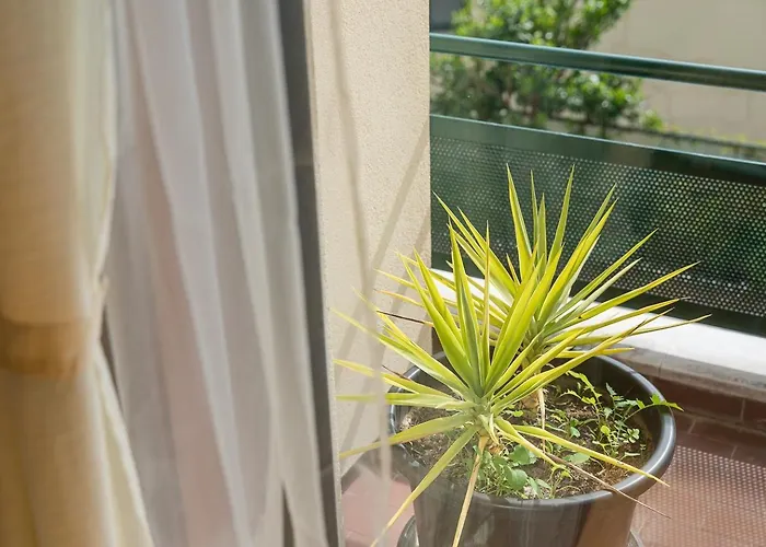 Relaxing Time Near The River *