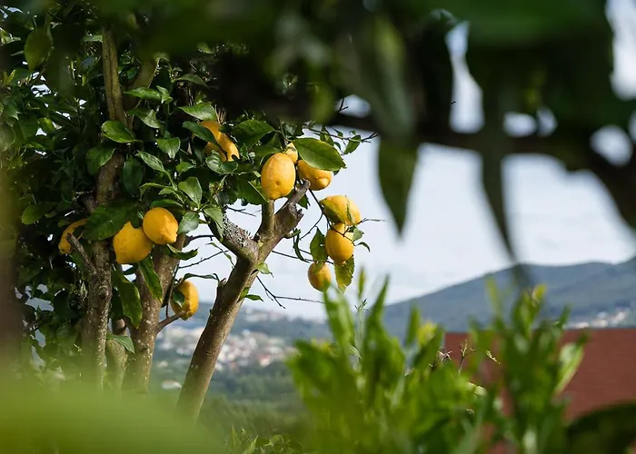 Relaxing Time Near The River