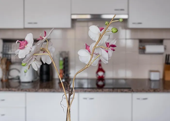 Relaxing Time Near The River * Penafiel