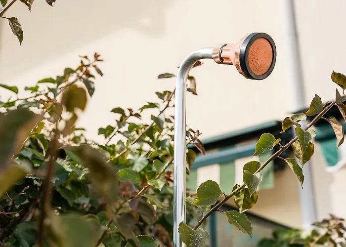 Relaxing Time Near The River